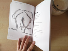 Load image into Gallery viewer, I Killed Him For His Wardrobe Space - - Poetry Book - - Annie Lloyd-Hyde