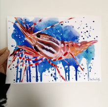 Load image into Gallery viewer, Issa Prawn