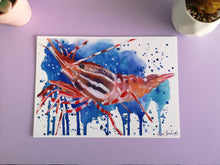Load image into Gallery viewer, Issa Prawn