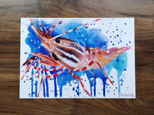 Load image into Gallery viewer, Issa Prawn