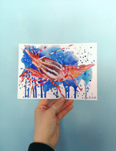 Load image into Gallery viewer, Issa Prawn